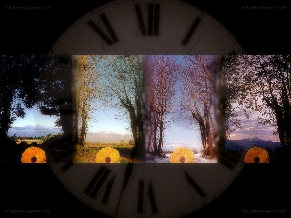 Time and seasons landscape