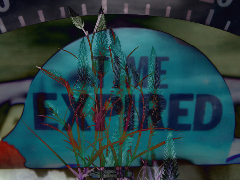 Time Expired with Grass