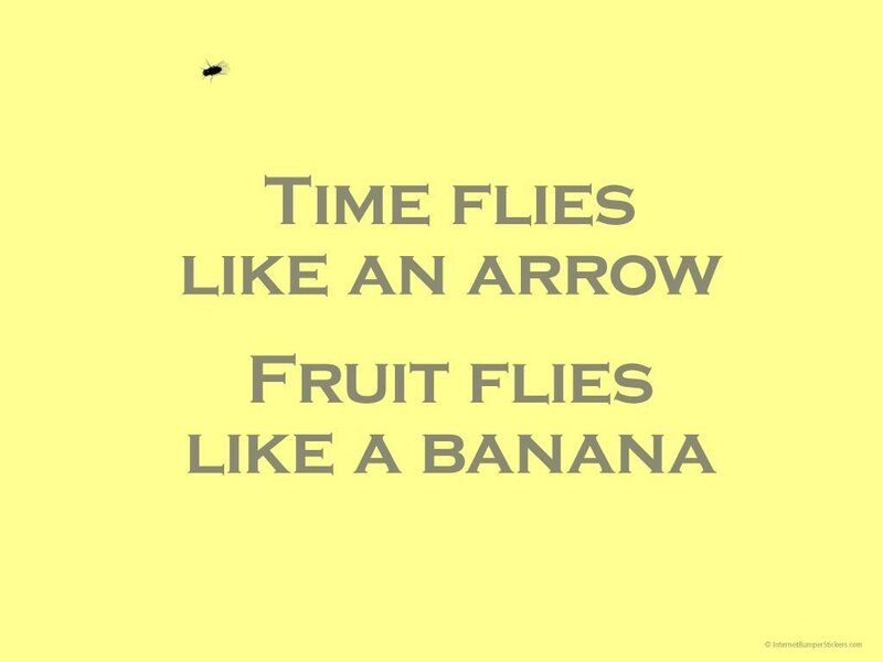 Time flies joke