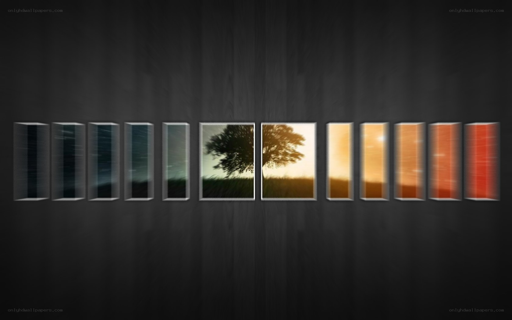 Time-lapse of a tree at sunset