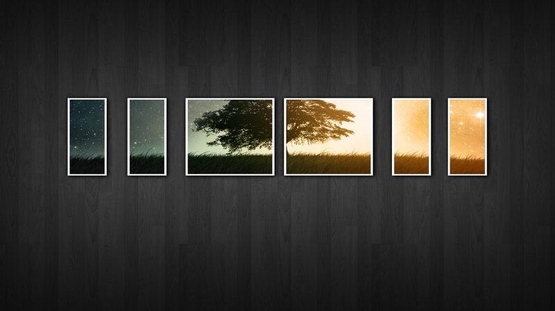 Time-lapse tree silhouettes
