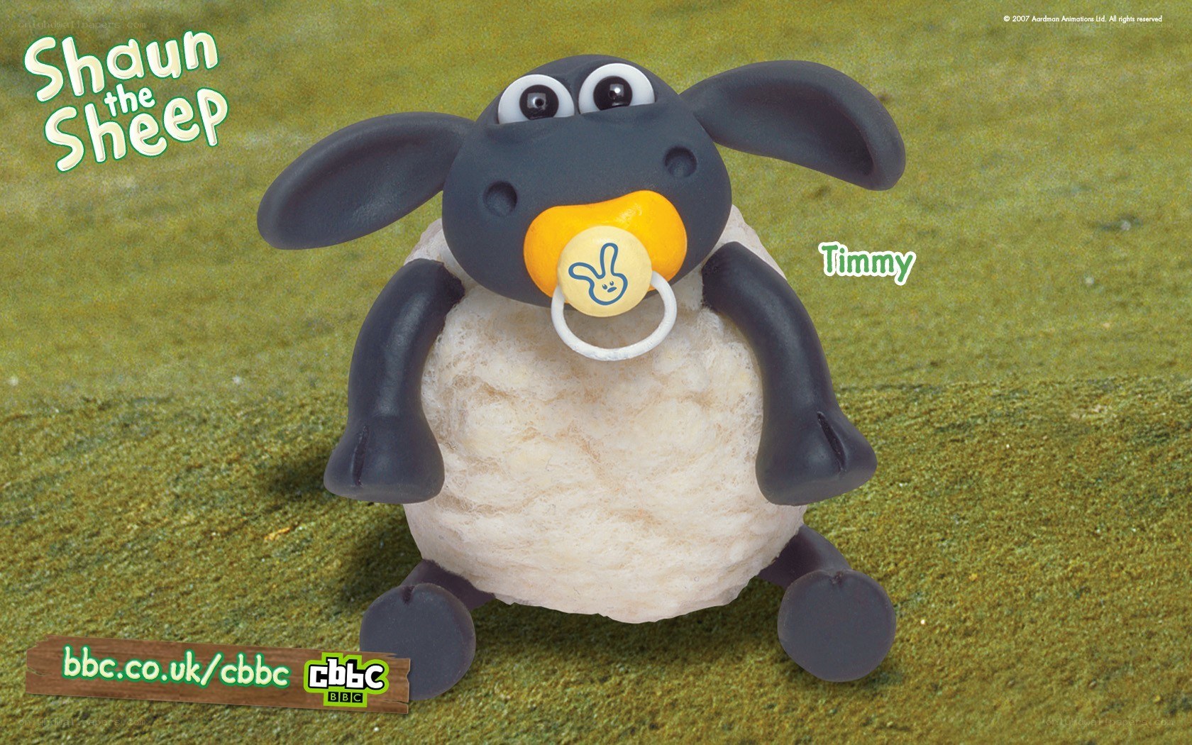 Timmy the baby sheep