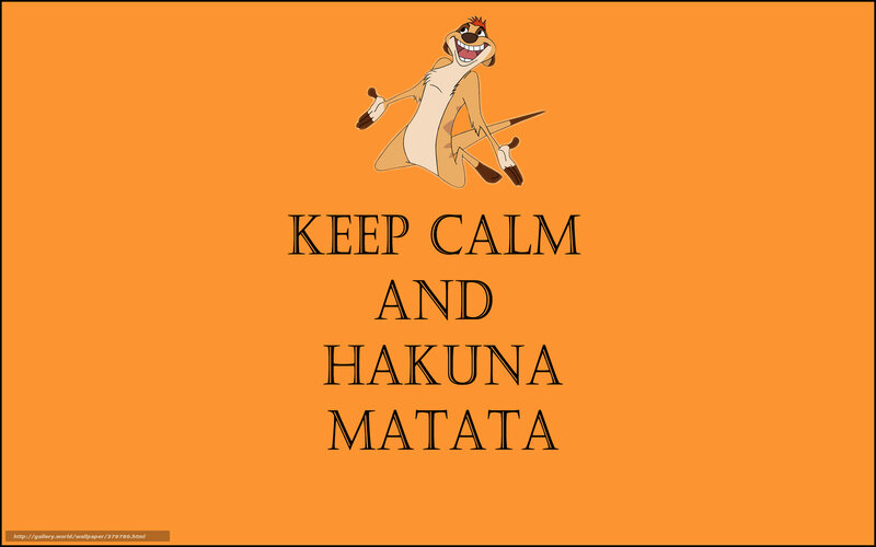 Timon from The Lion King