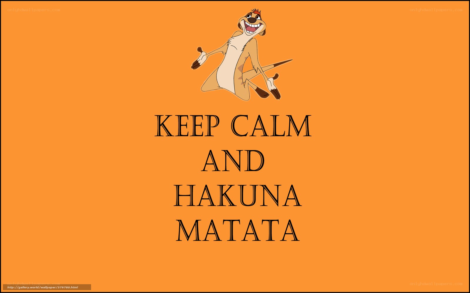 Timon from The Lion King
