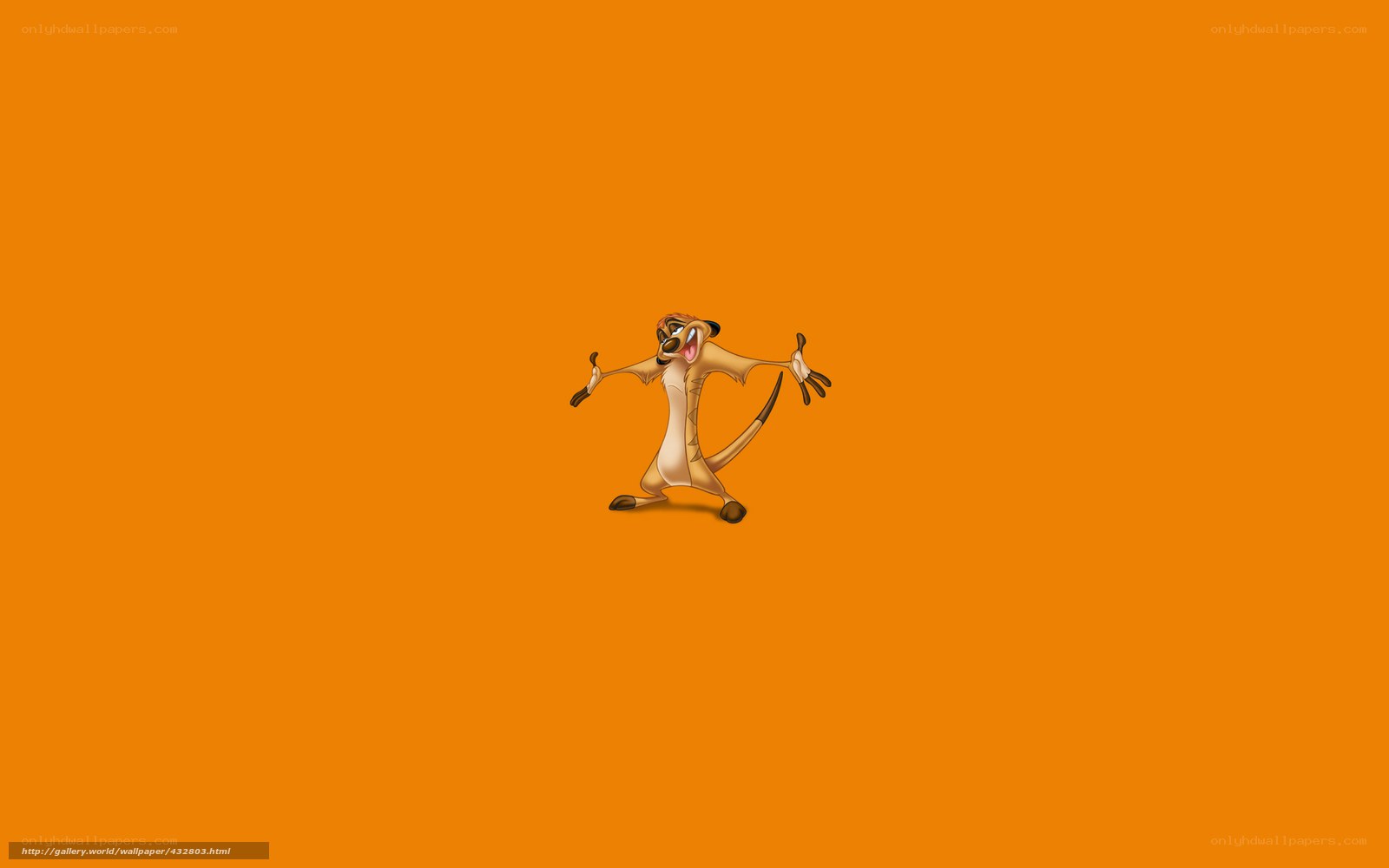 Timon from The Lion King