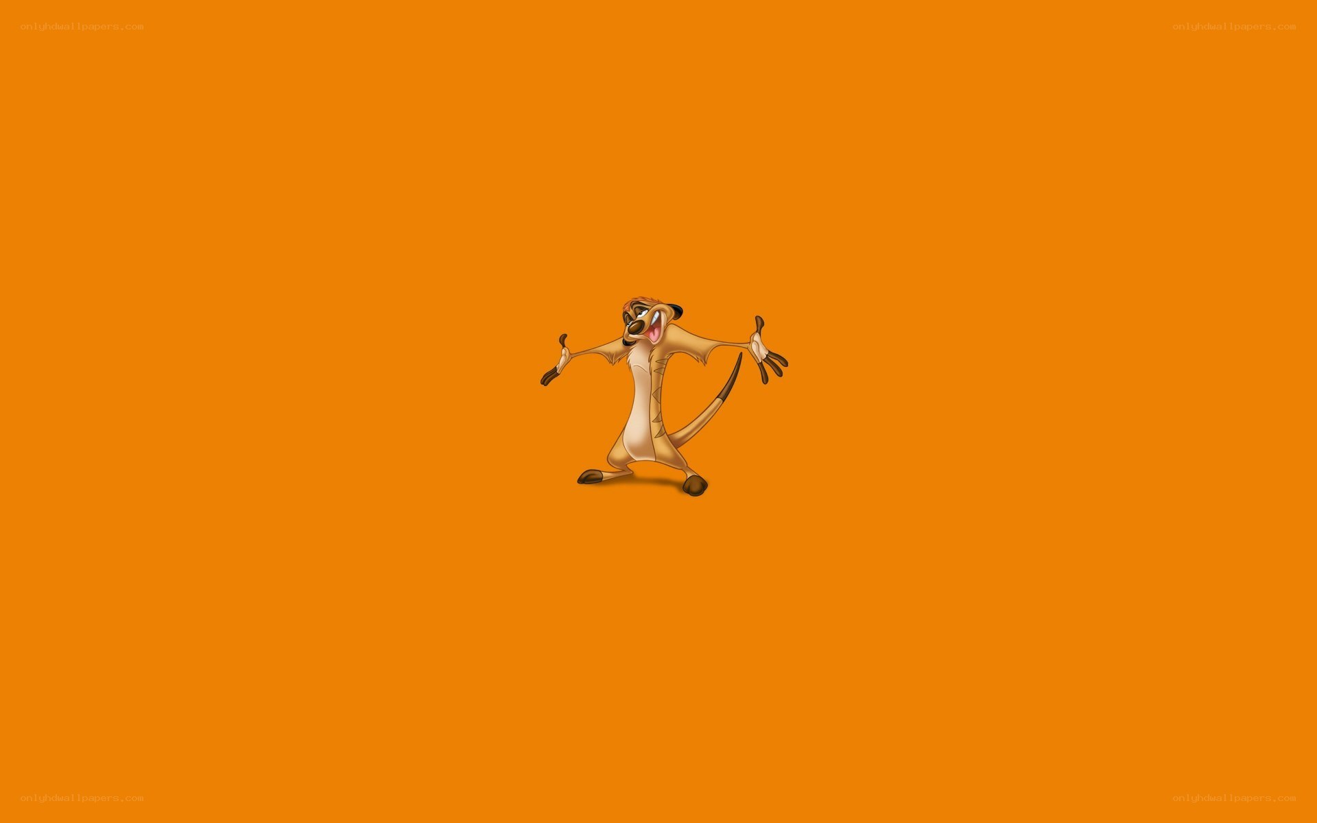 Timon from The Lion King