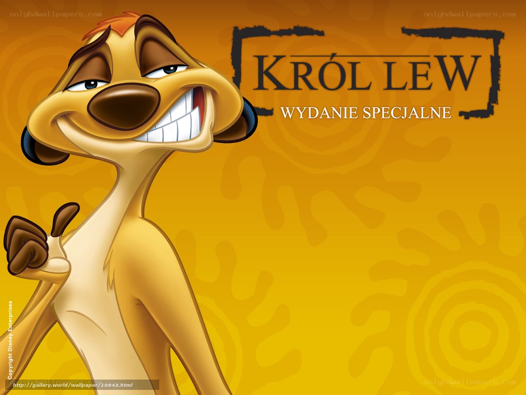 Timon from The Lion King