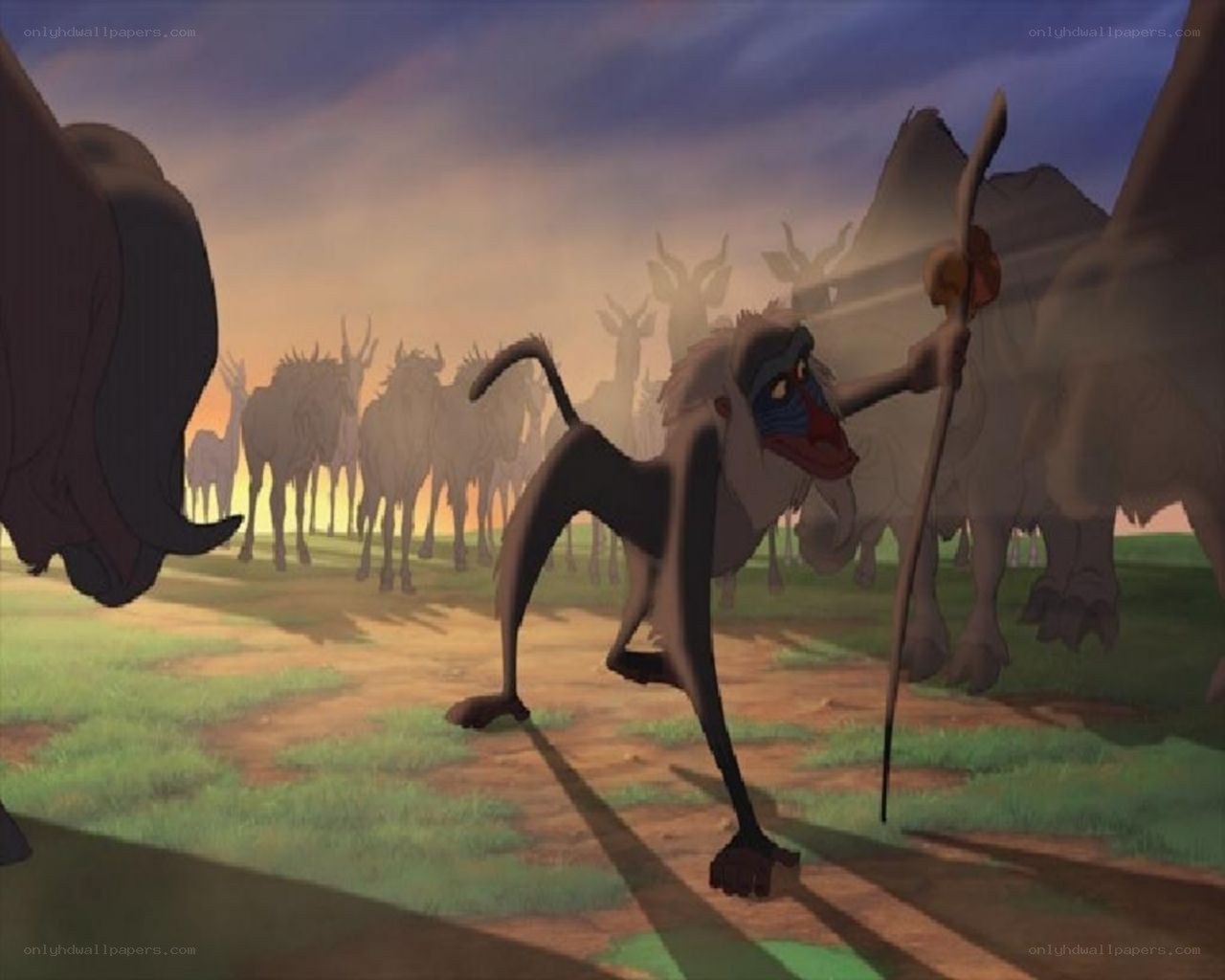 Timon in the Pride Lands