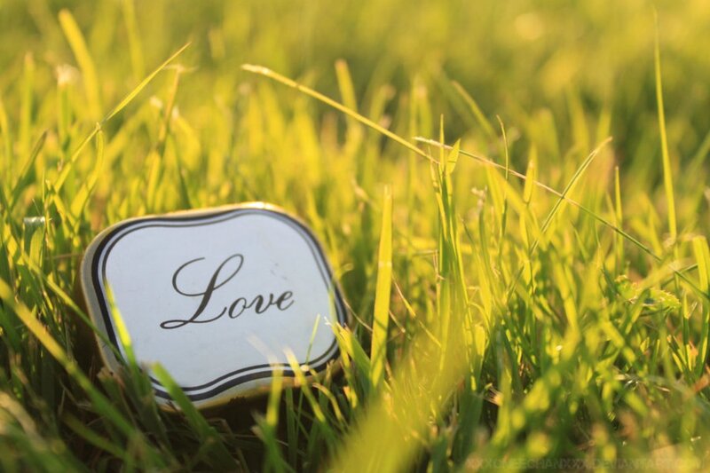 Tin Box in Grass