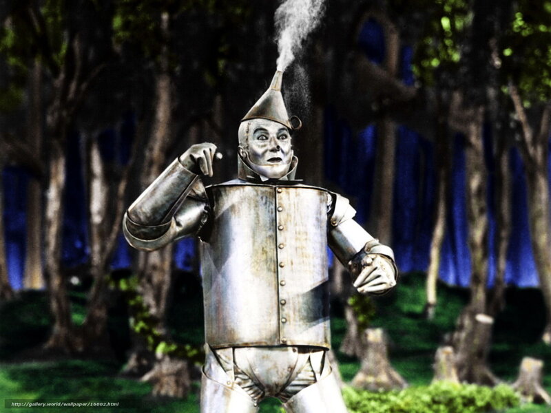 Tin Man from The Wizard of Oz