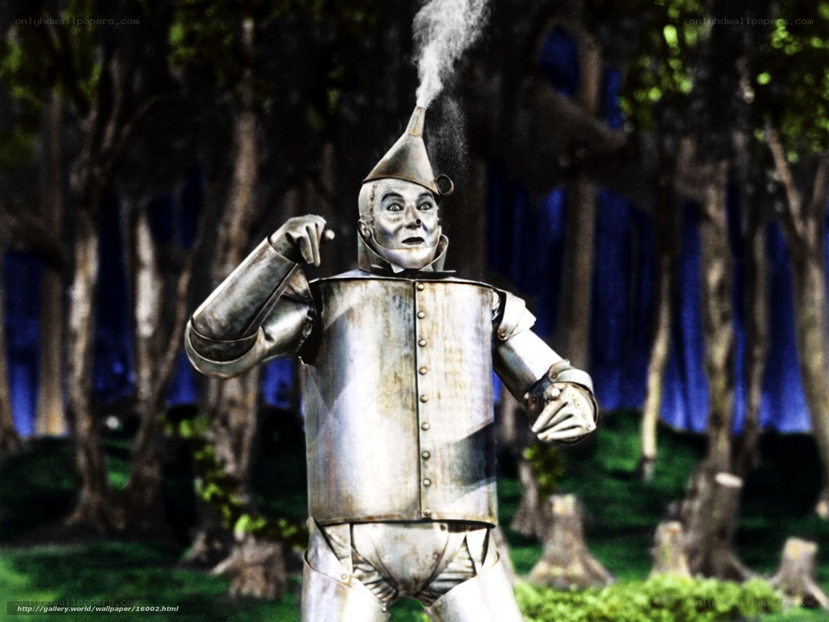 Tin Man from The Wizard of Oz