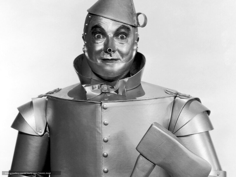 Tin Man from The Wizard of Oz