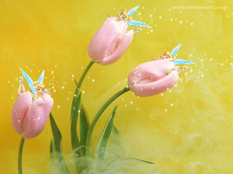 Tinker Bell on pink tulips