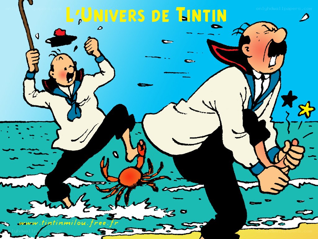 Tintin and Haddock on the beach