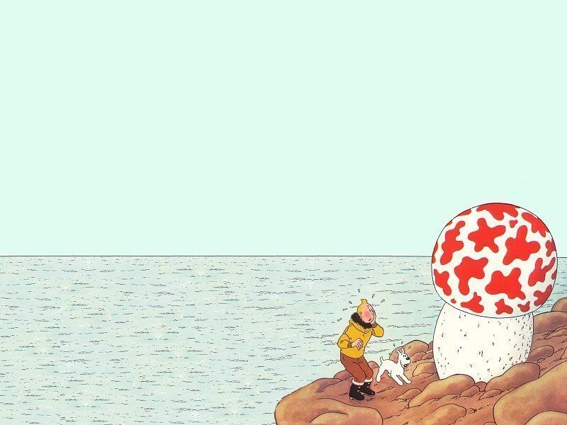 Tintin and Snowy on a rocky shore