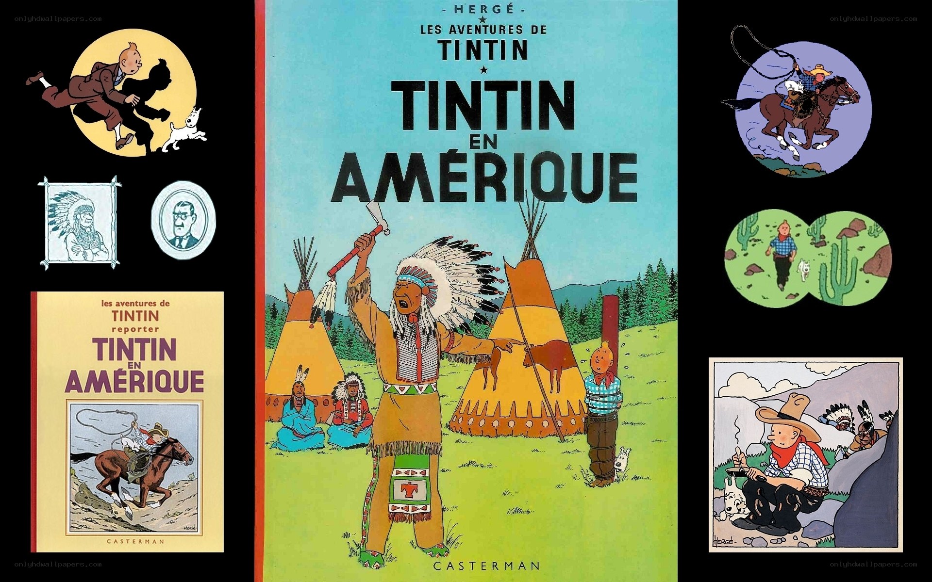 Tintin in America