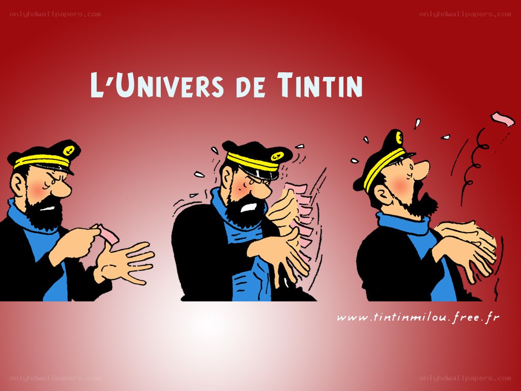 Tintin's universe comic strip