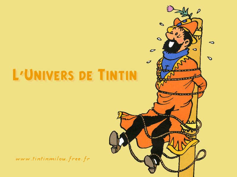 Tintin's universe