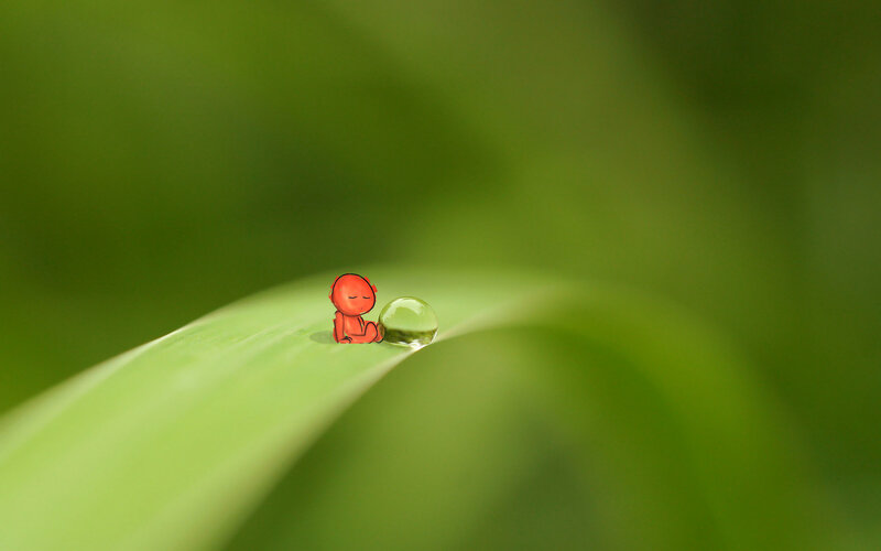 Tiny figure on a dewdrop
