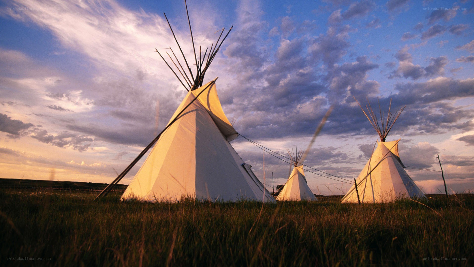 Tipis in a grassy field