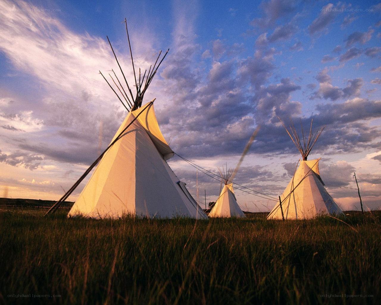 Tipis in a grassy field