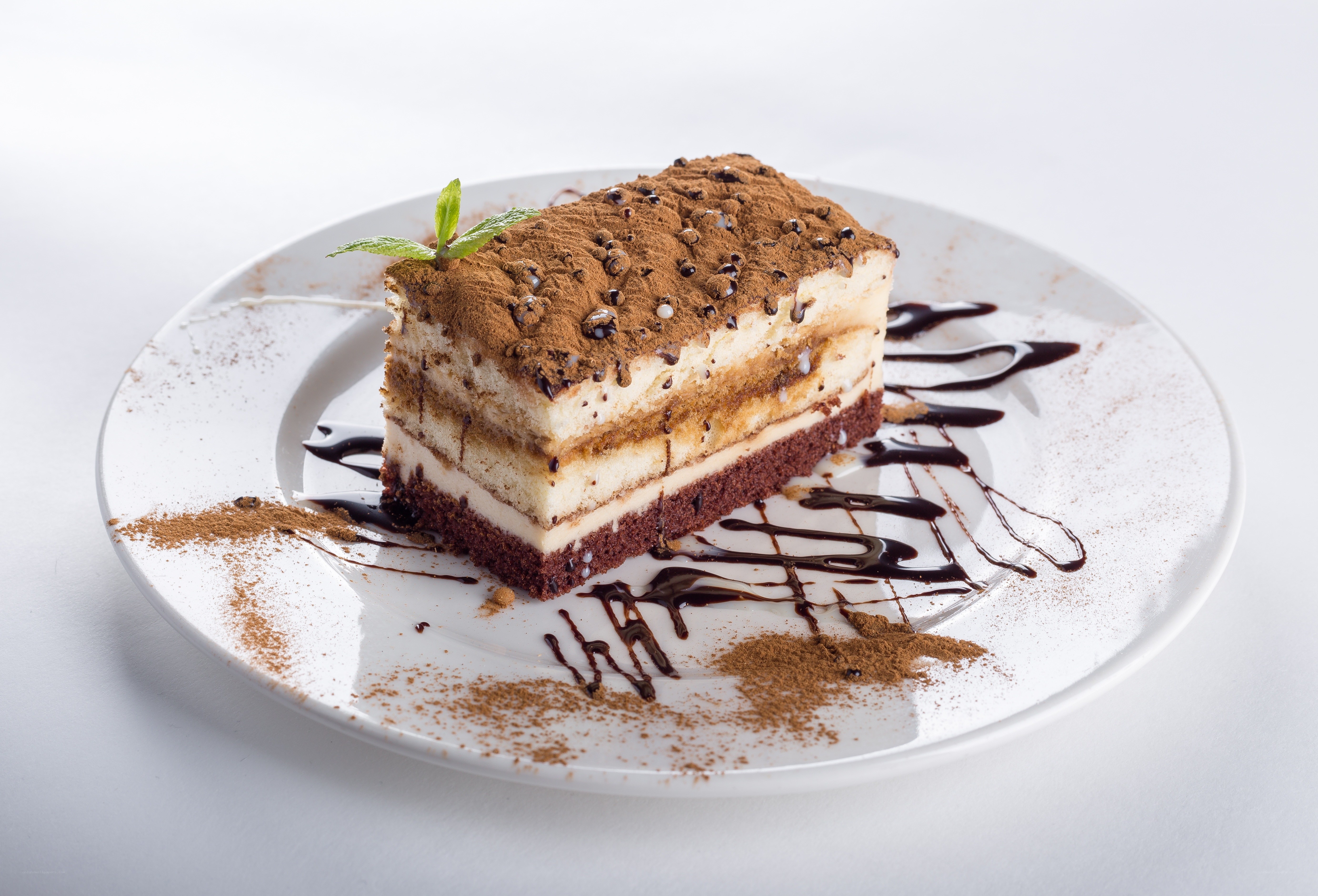 Tiramisu dessert slice
