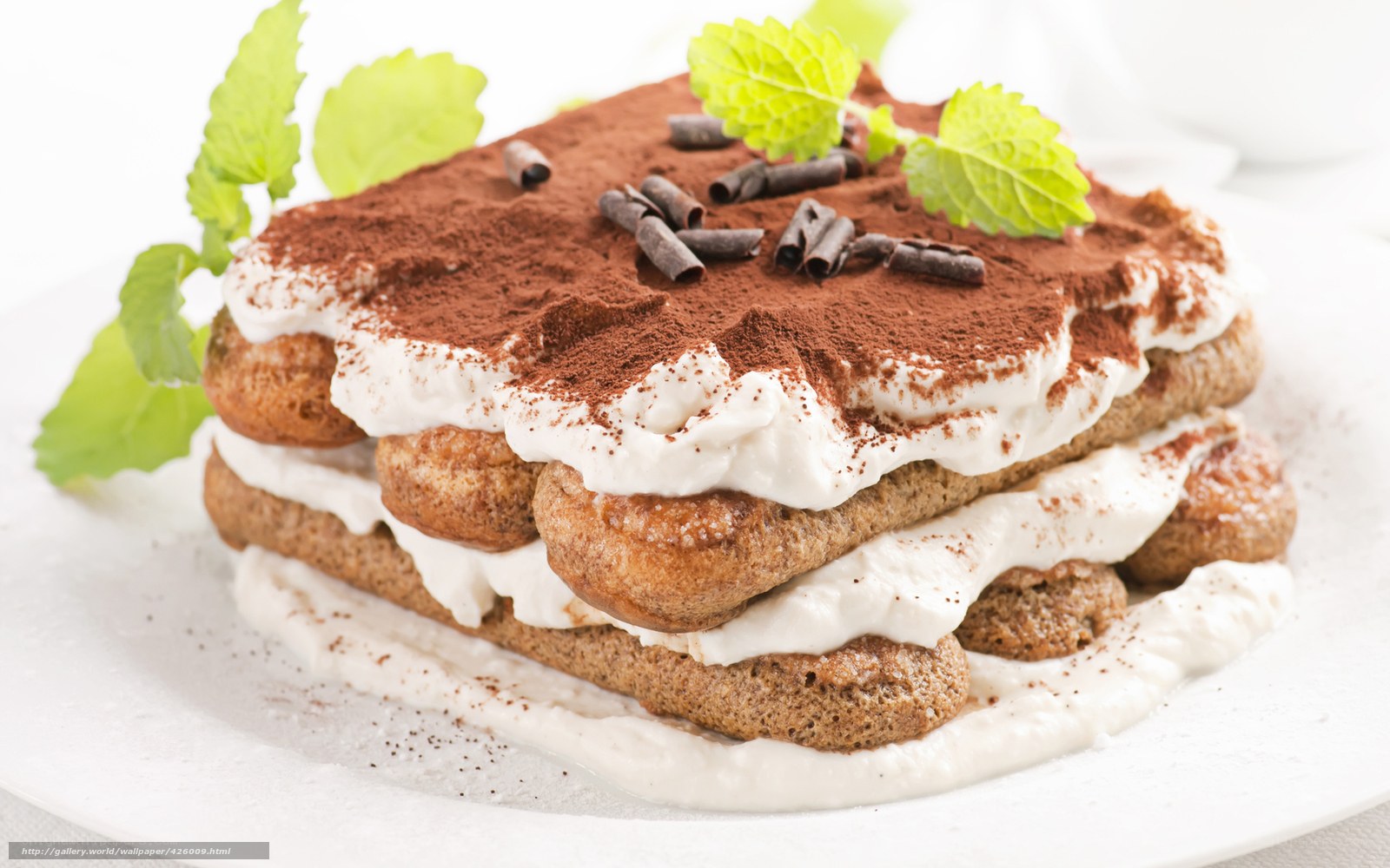 Tiramisu dessert with mint