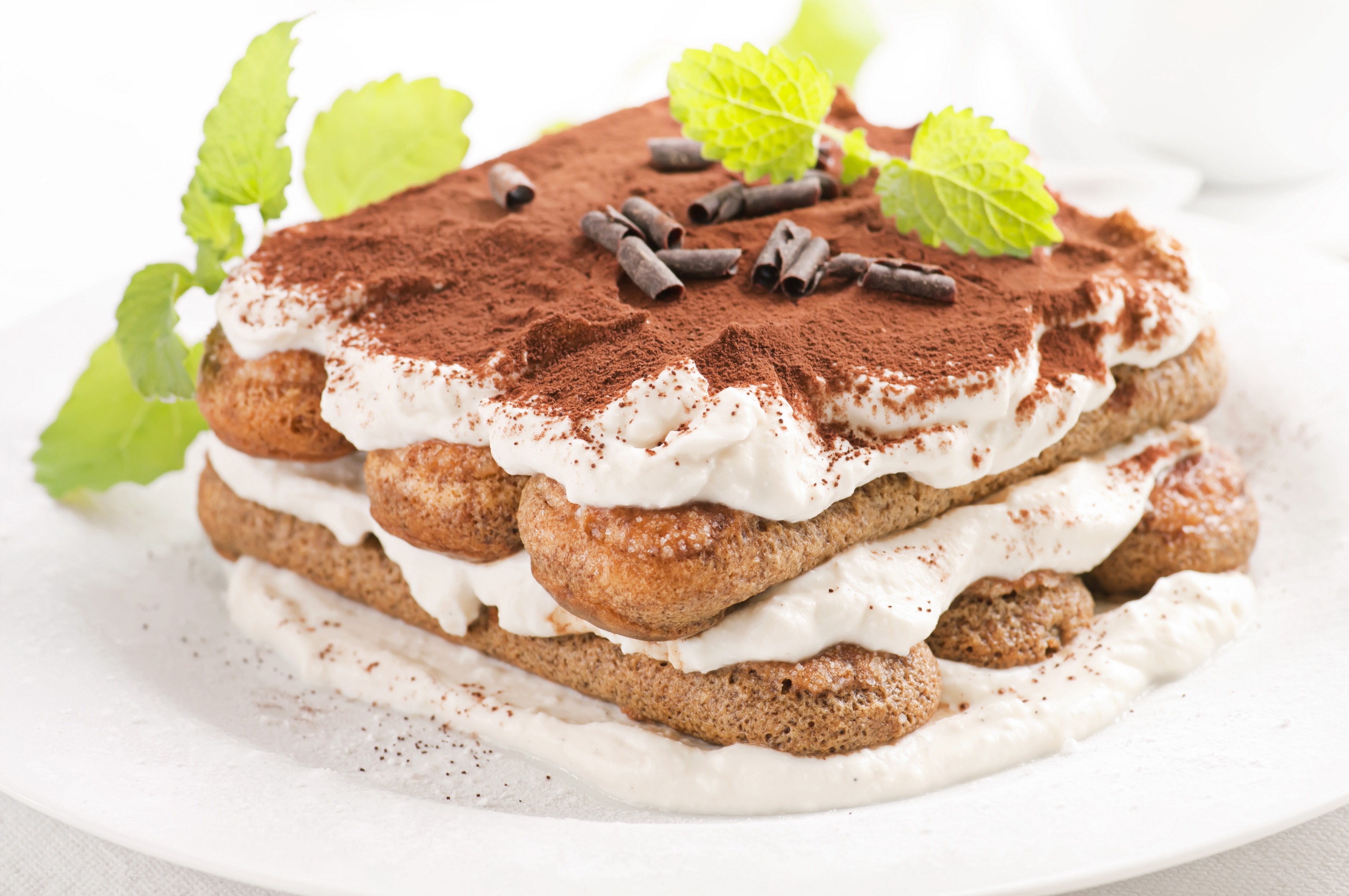 Tiramisu dessert with mint