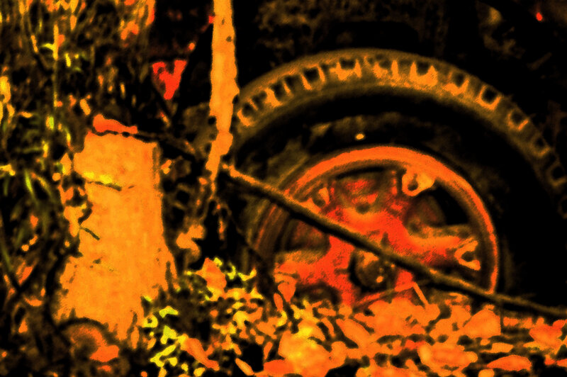 Tire in Overgrown Vegetation