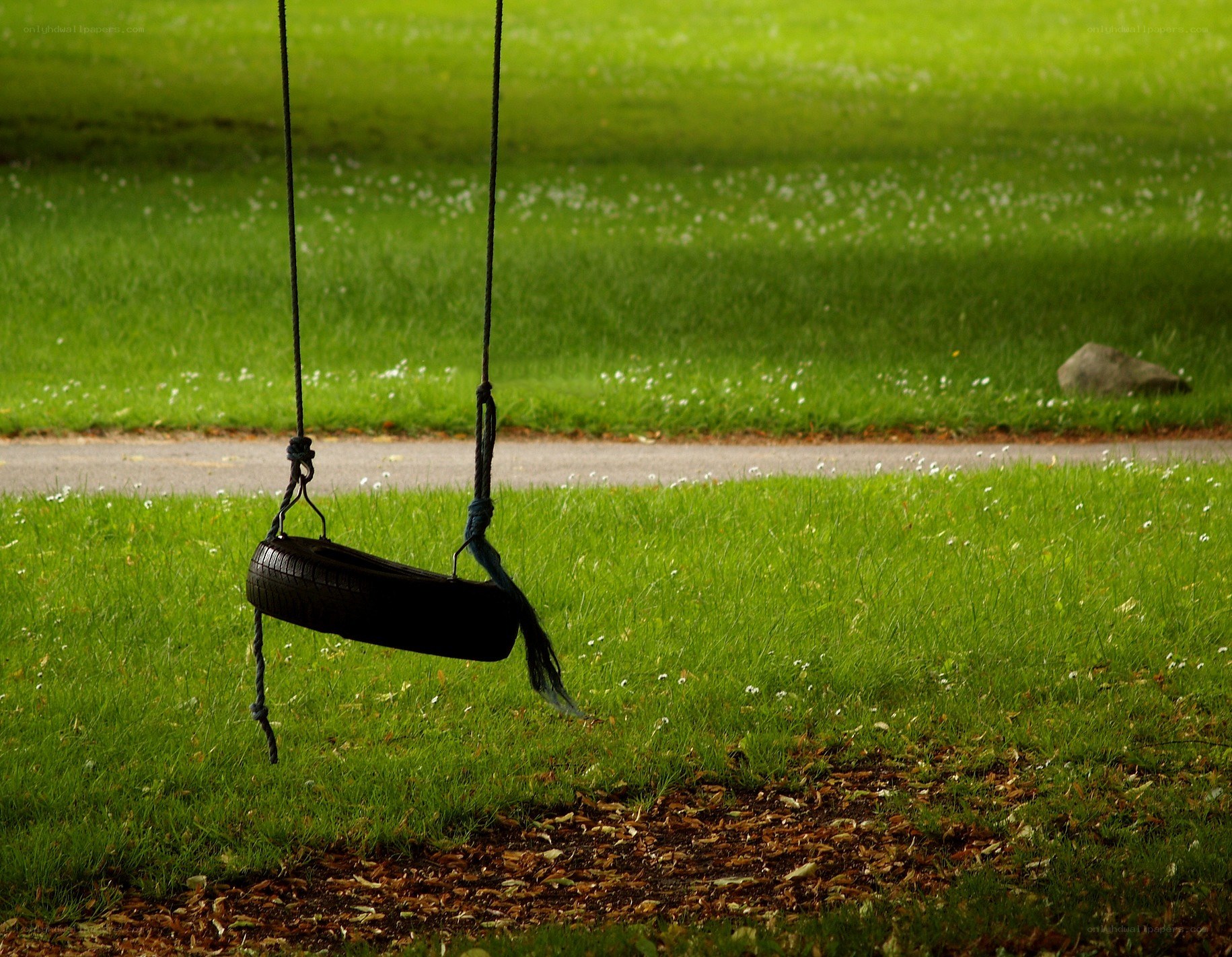 tire swing in a park