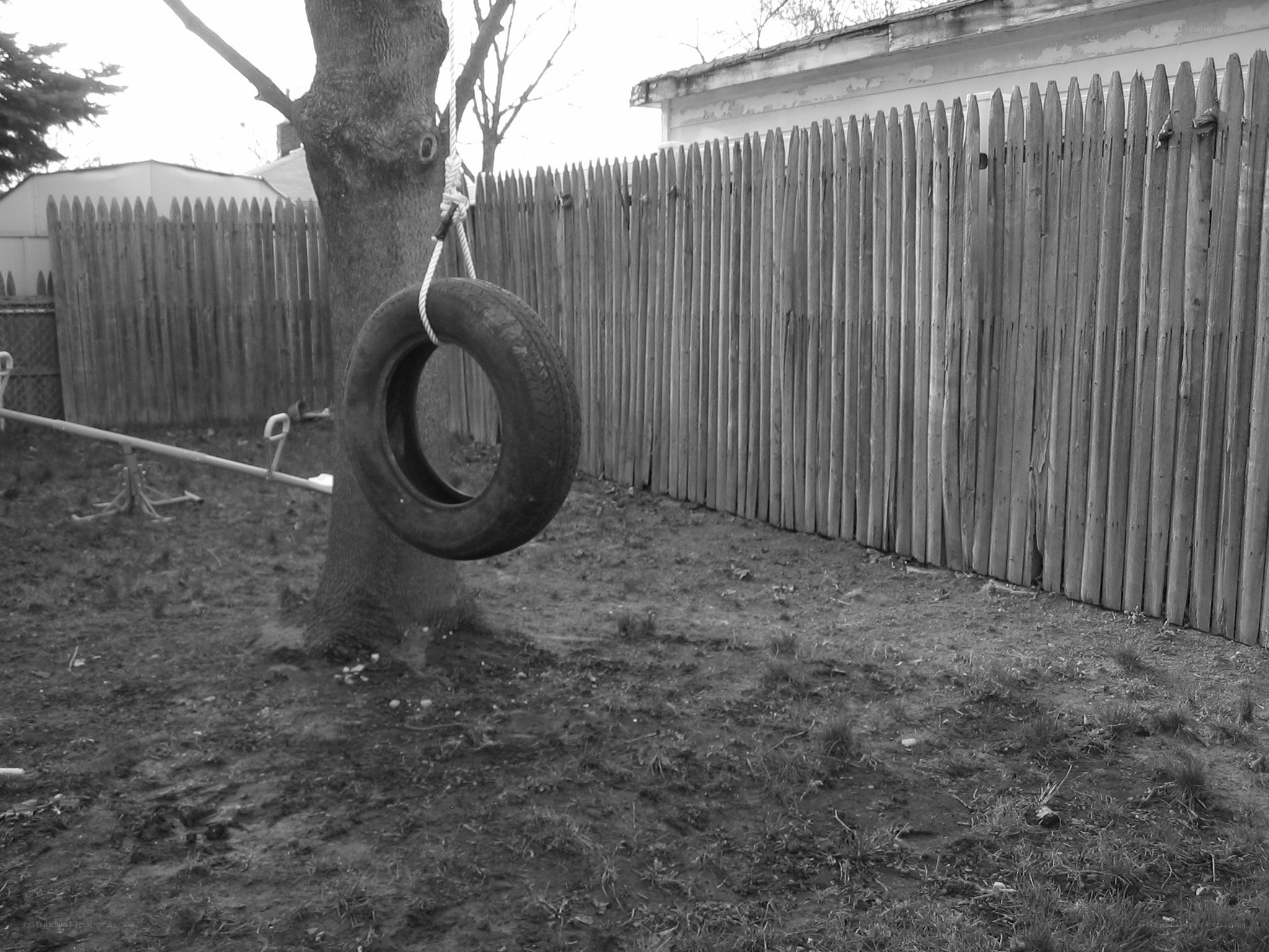 tire swing in backyard