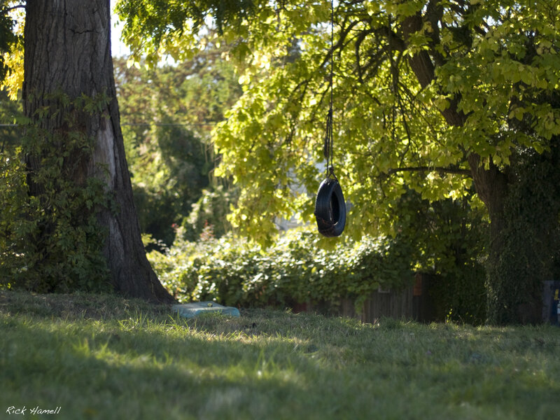 tire swing in backyard