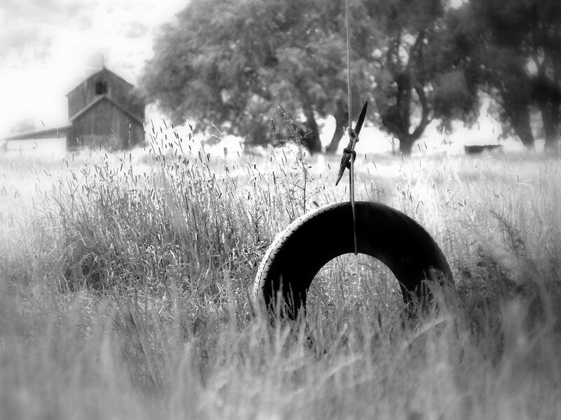 Tire Swing in Field