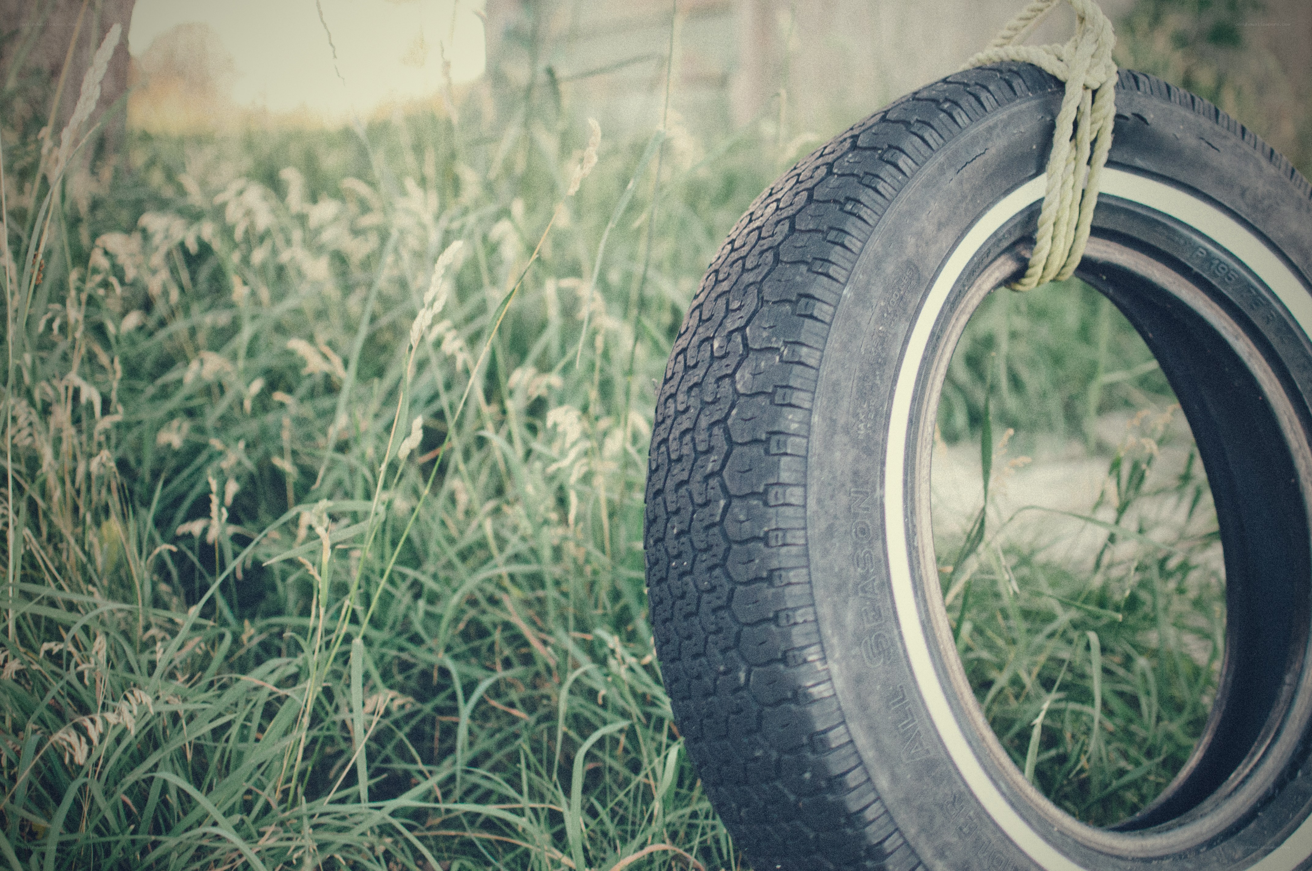 tire swing in tall grass