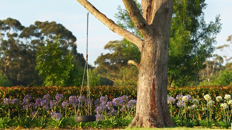Tire Swing on Tree — Green