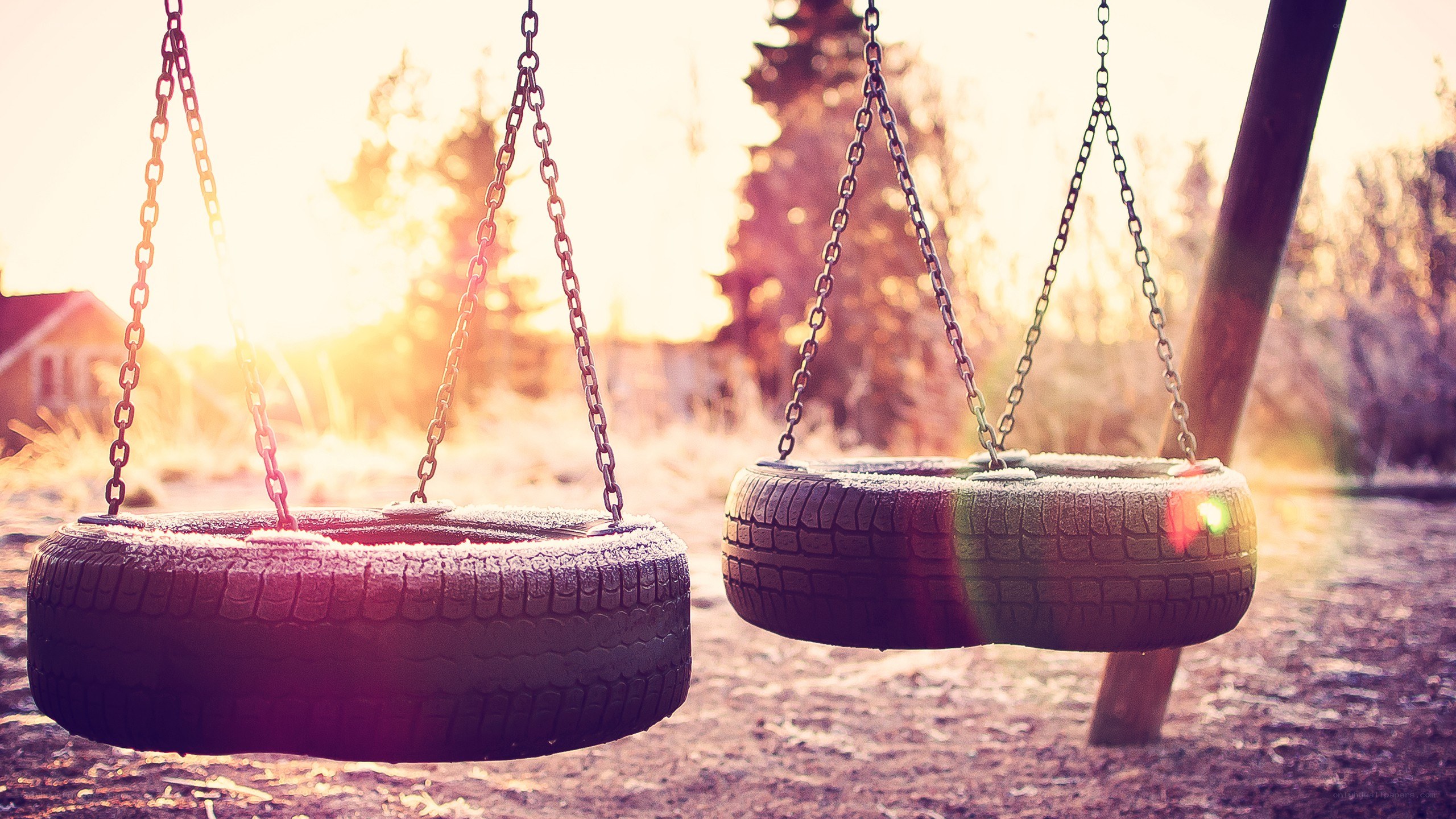 tire swings at sunset