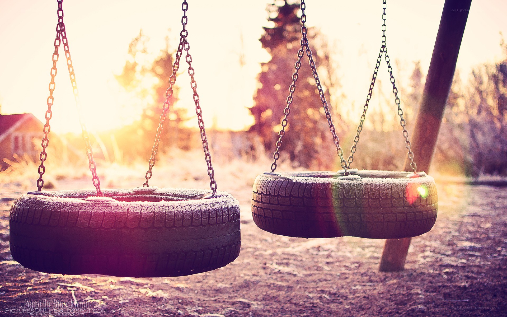 tire swings at sunset