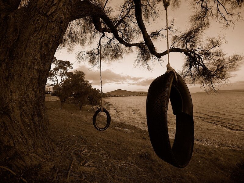 tire swings by the water
