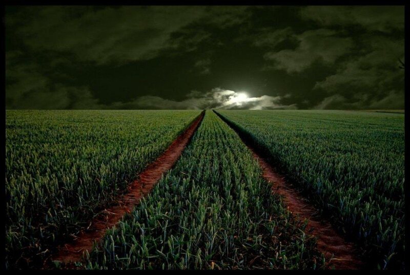 Tire Tracks in Field