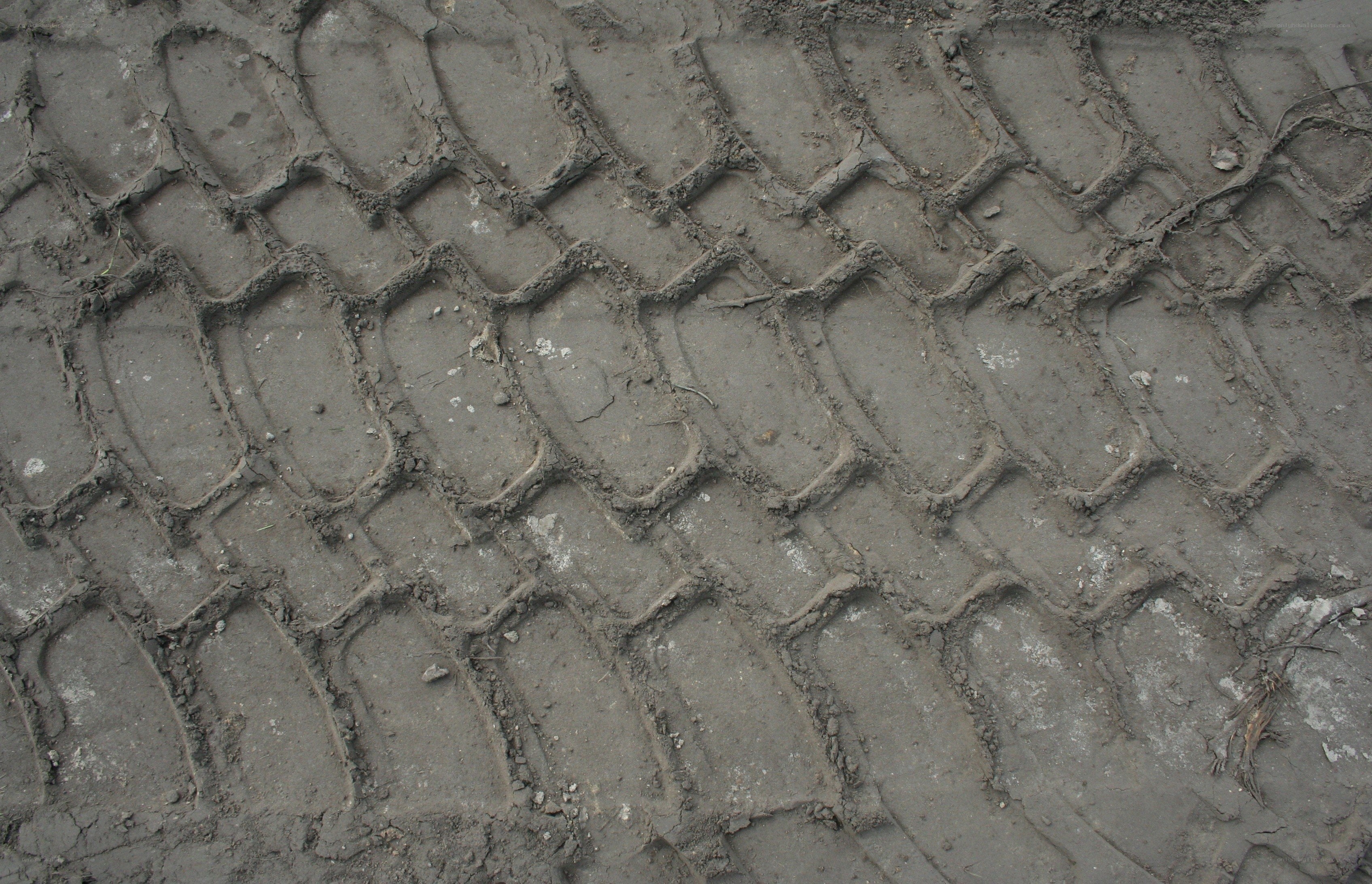 tire tracks in muddy ground