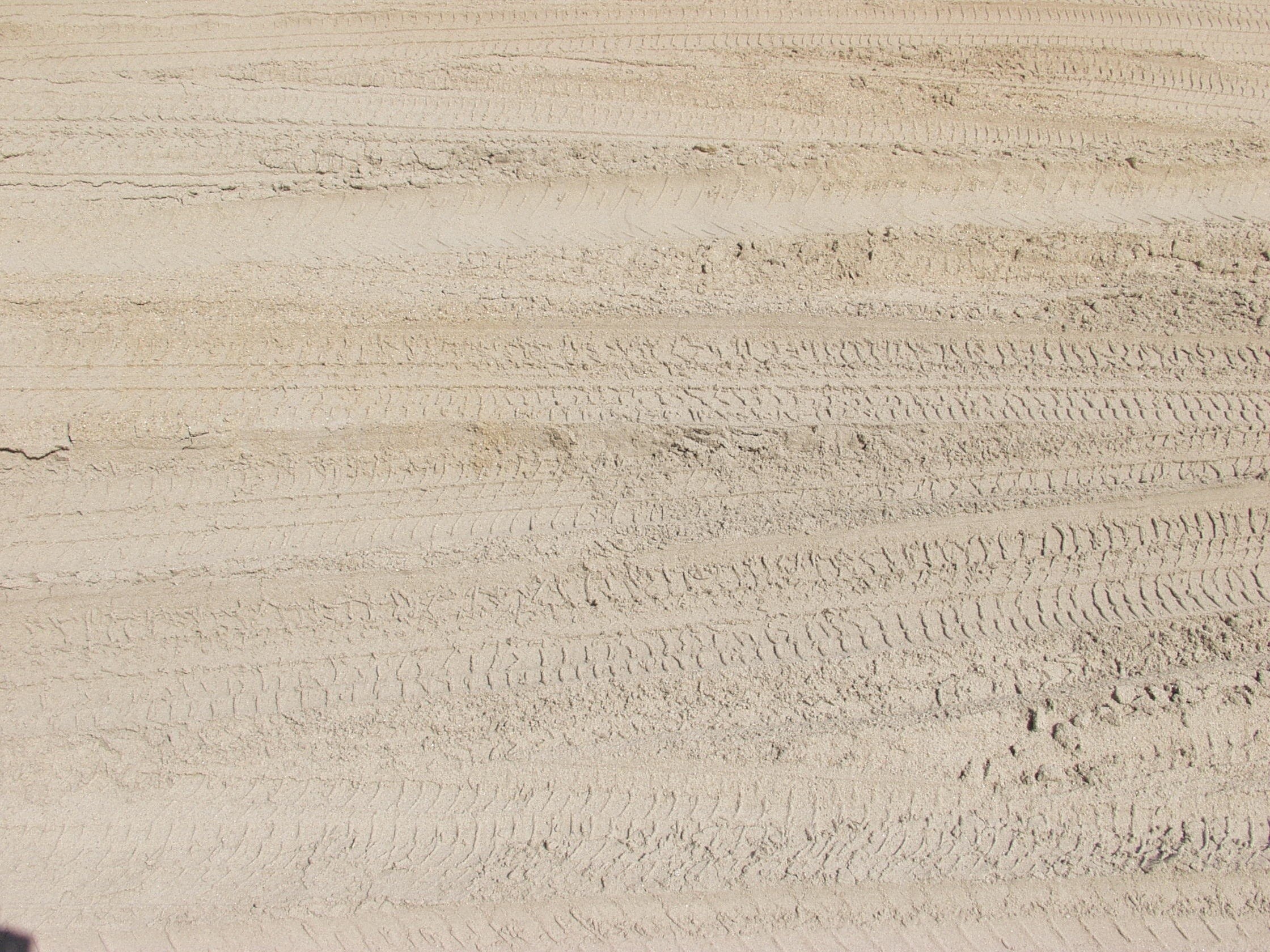 tire tracks in sand
