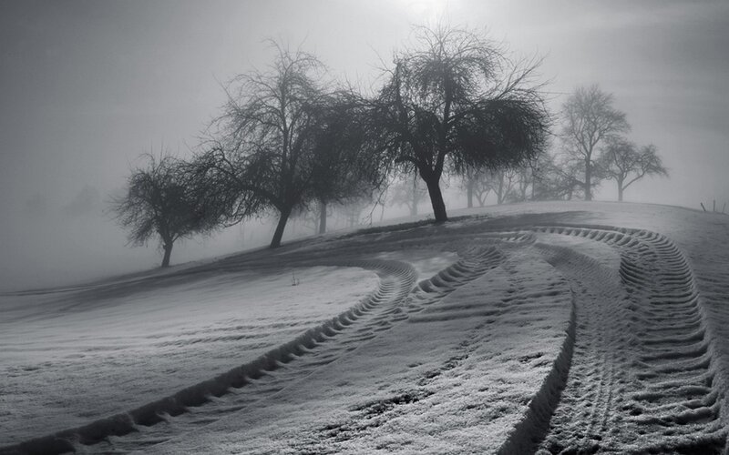 Tire Tracks in Snow — Black, Misty