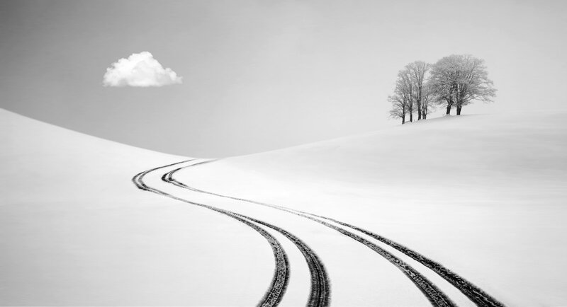Tire Tracks in Snow — White, Serene