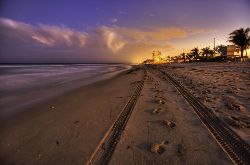 Tire Tracks on Beach