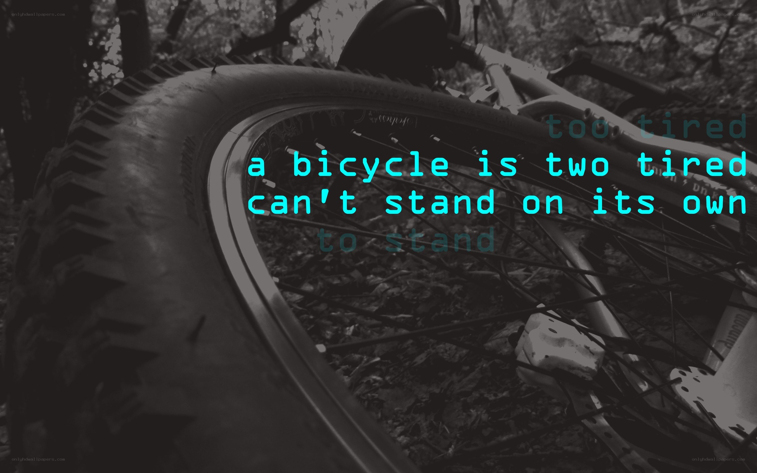 tired bicycle in forest