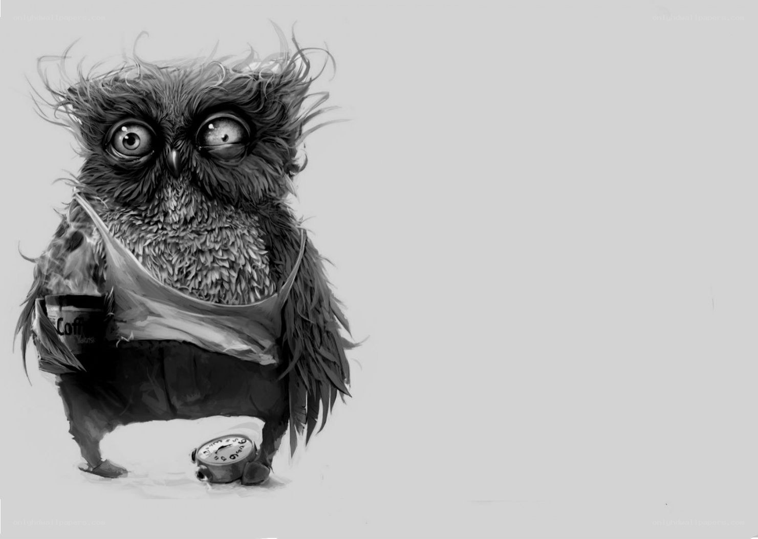 tired owl with coffee