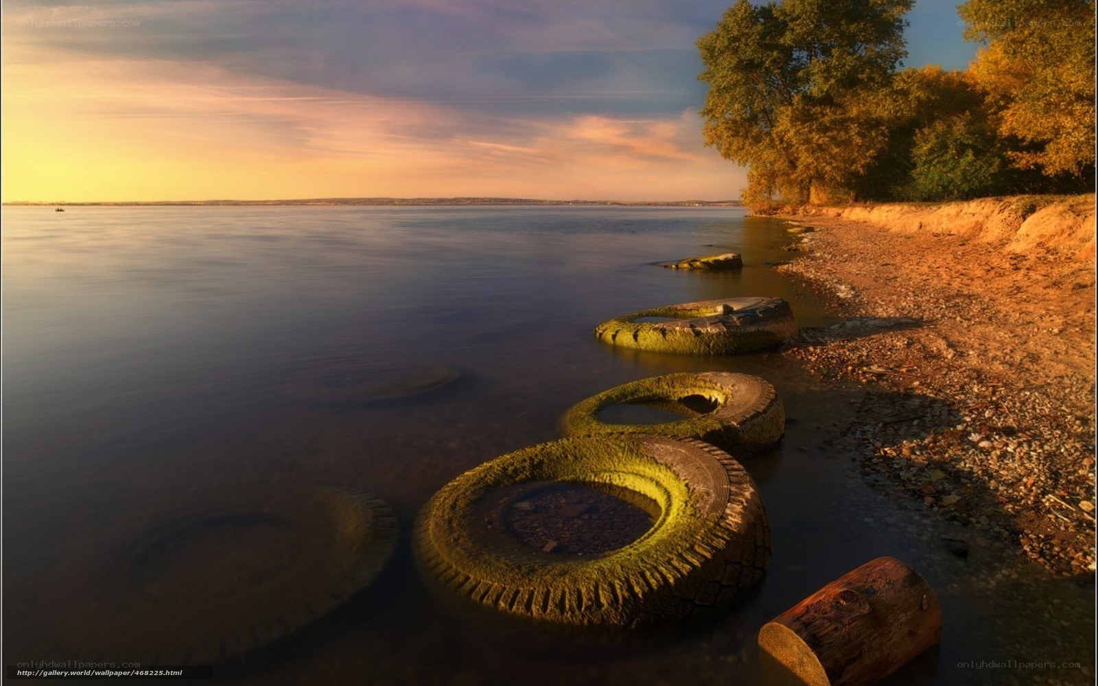 tires on a lakeshore at sunset