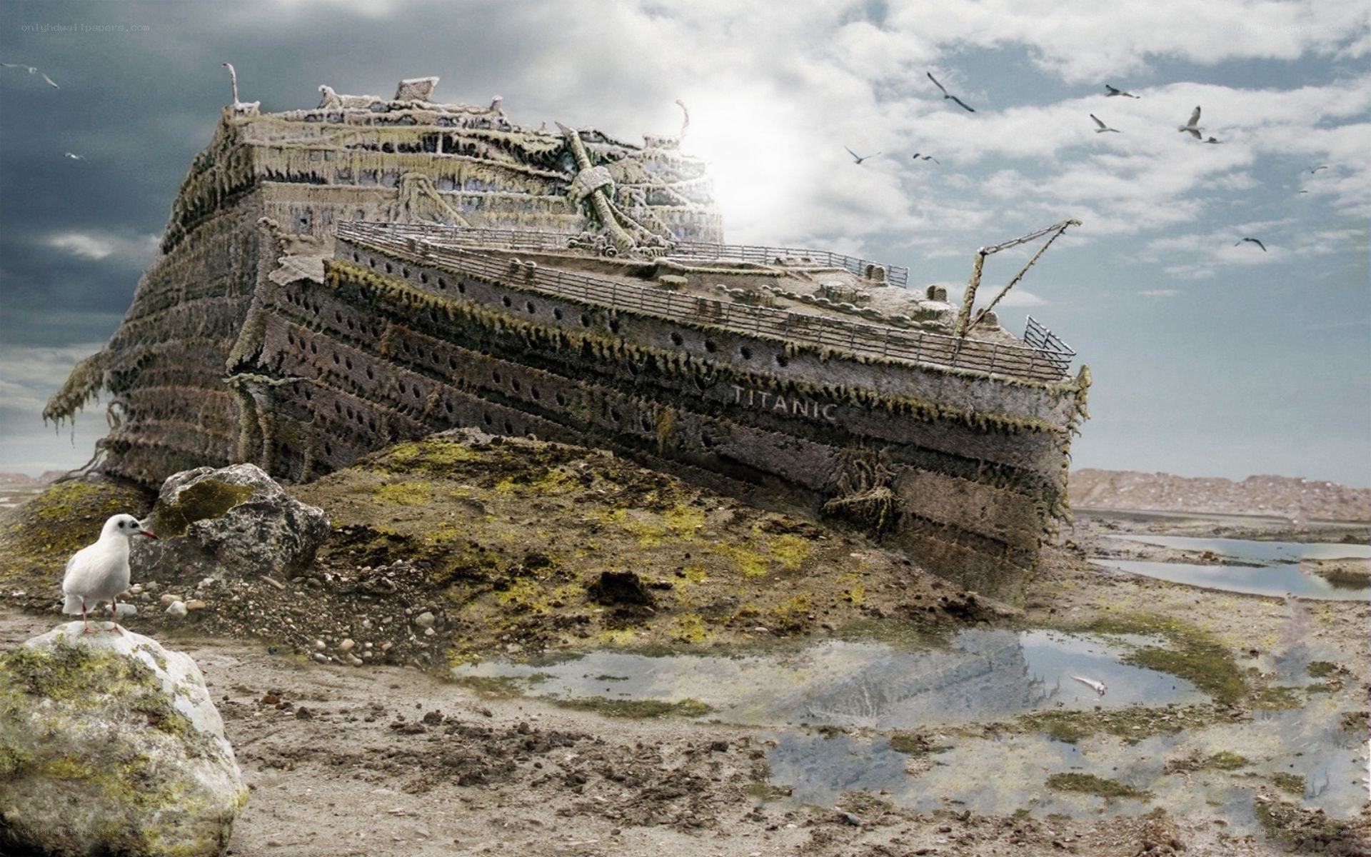 Titanic wreck on shore