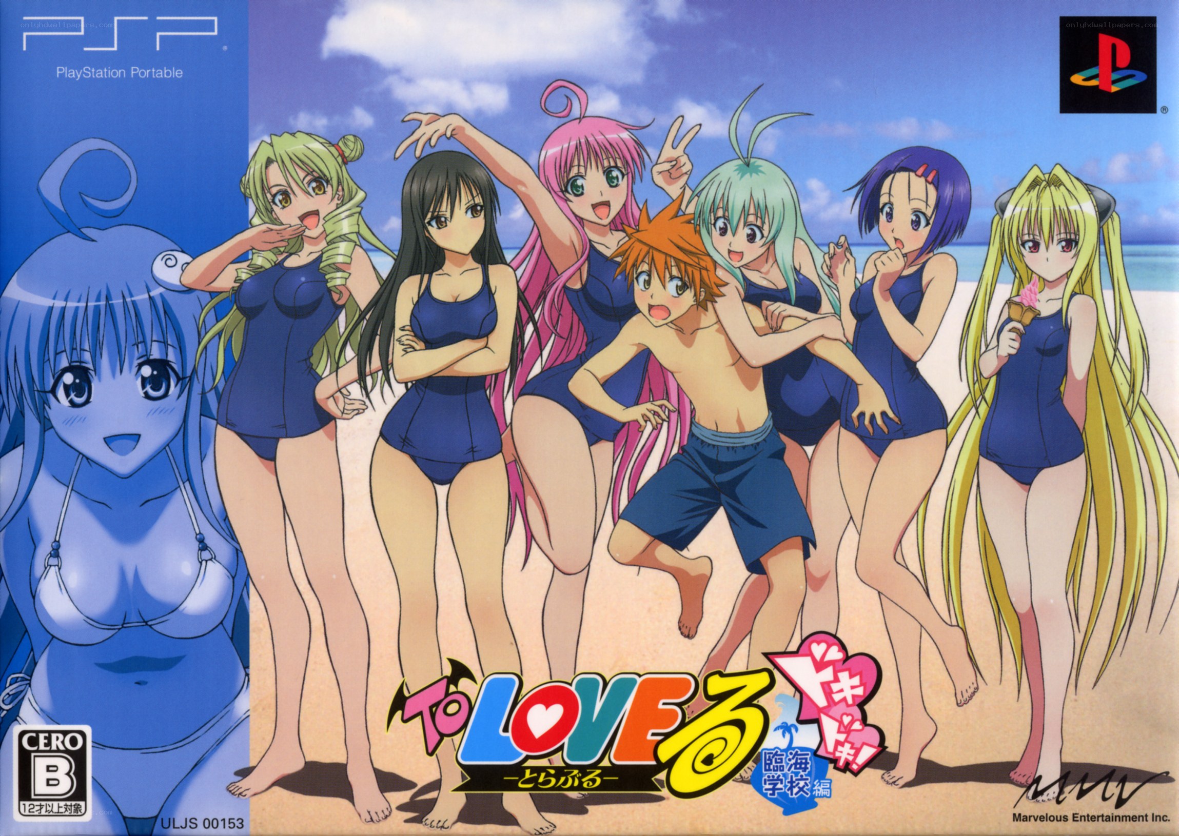 To Love Ru: Beach School Edition