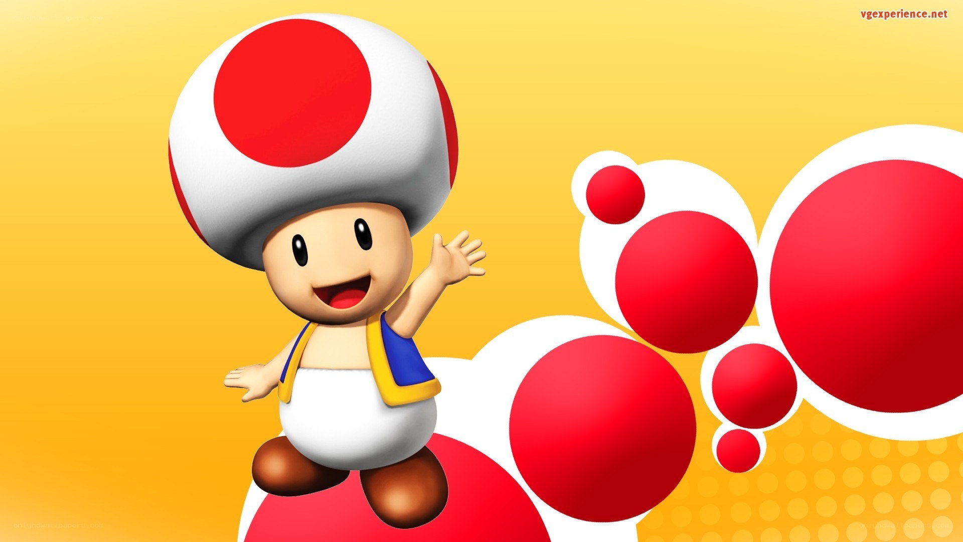 Toad character from Mario series